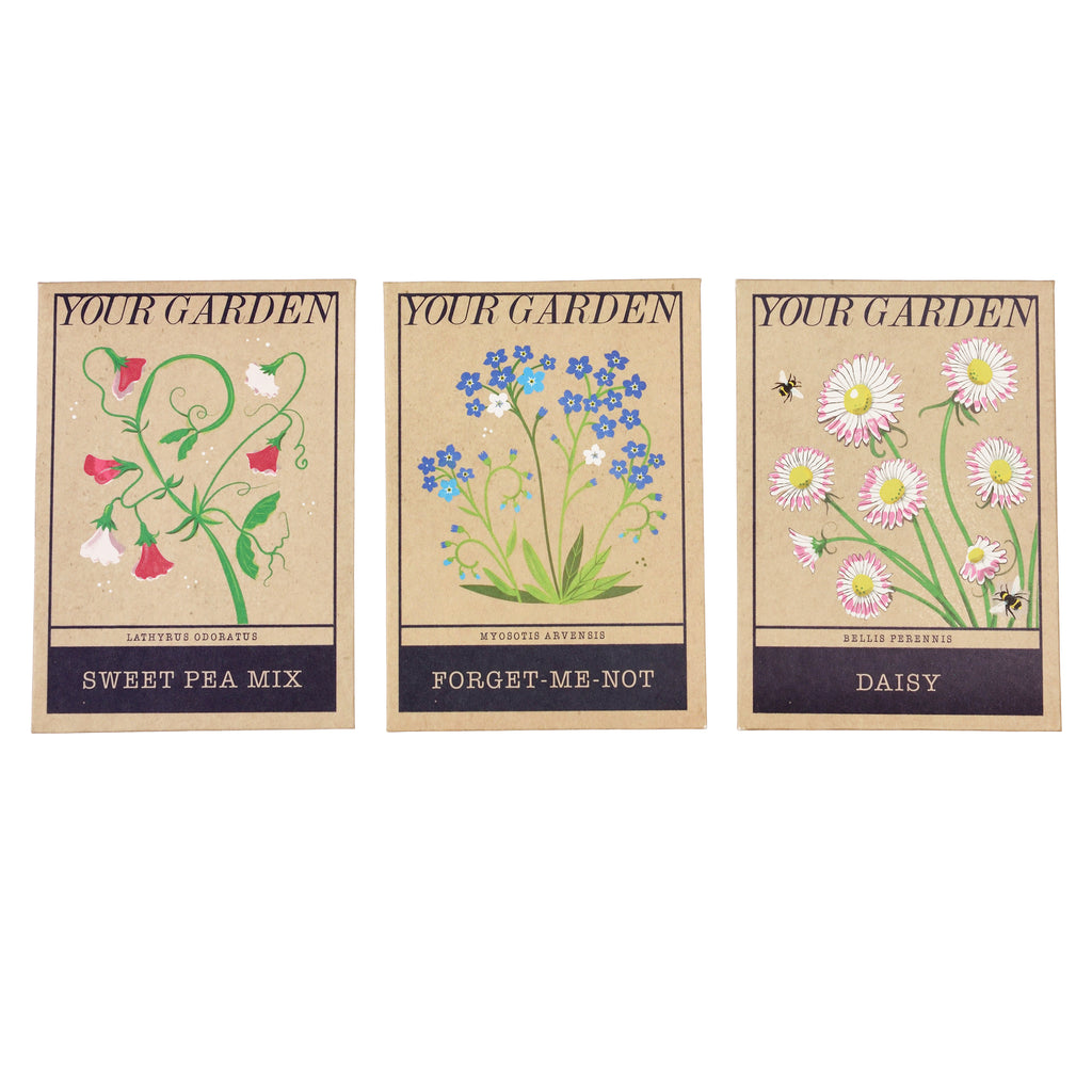 Pack of Flower Seeds - Various Seeds