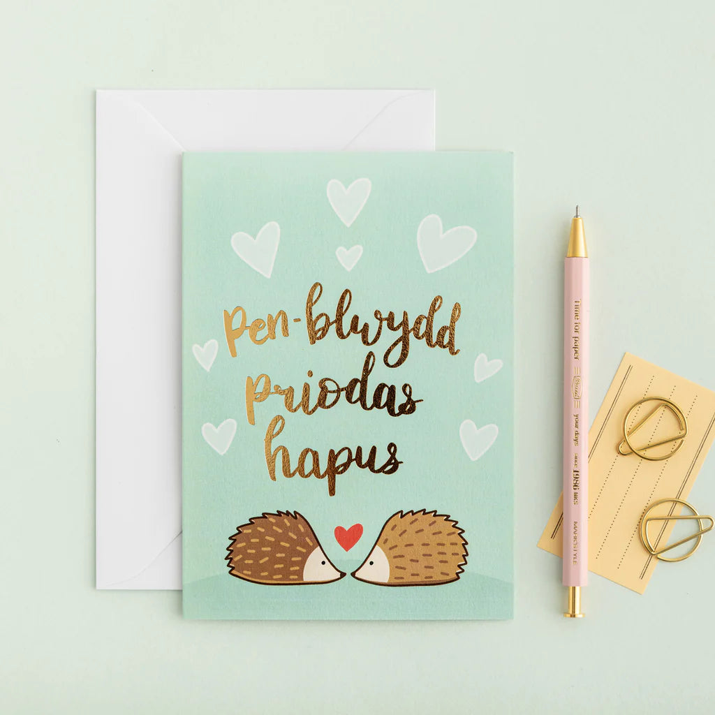 'Pen-blwydd Priodas Hapus' Hedgehogs