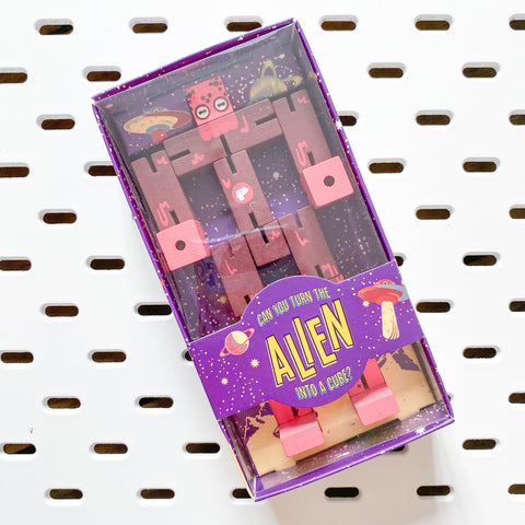 Puzzle Planet Wooden Puzzle - Various