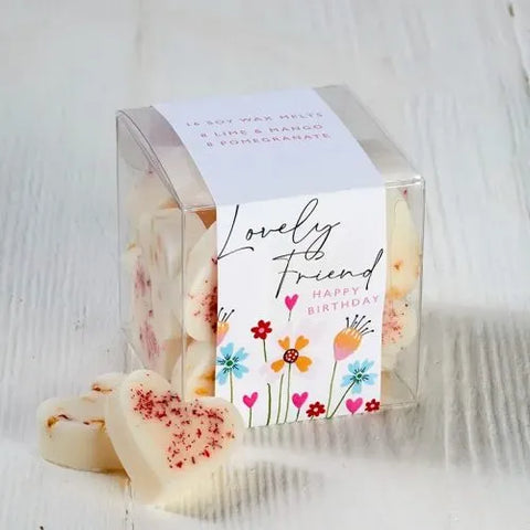 Wax Melts Gift Box - Various Sayings