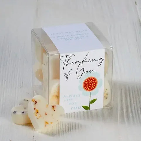 Wax Melts Gift Box - Various Sayings