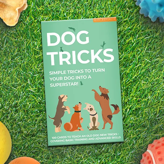 Dog Tricks
