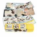 Prehistoric Land Activity Pack
