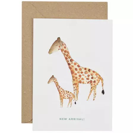 New Arrival - Giraffe