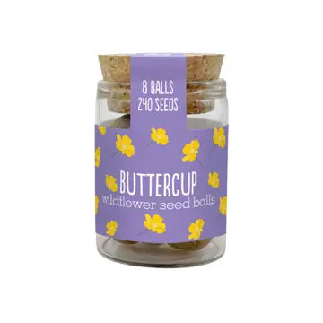 Wildflower Jars - Various Seeds