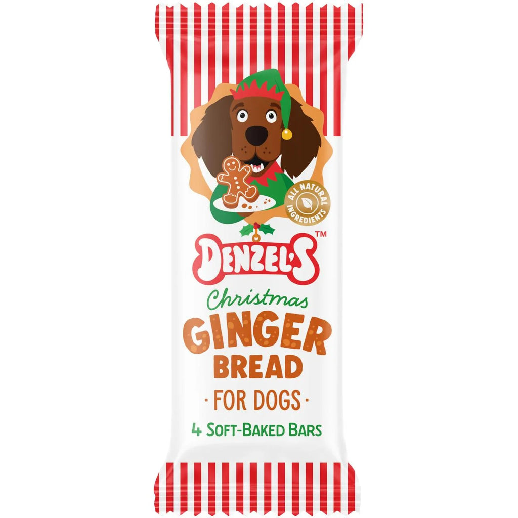 Festive Dog Treats - Gingerbread