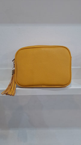 Crossbody Bag with Gold Detail & Tassle - Various Colours