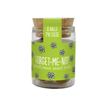 Wildflower Jars - Various Seeds