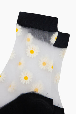 Sheer Pop Socks - Various Designs