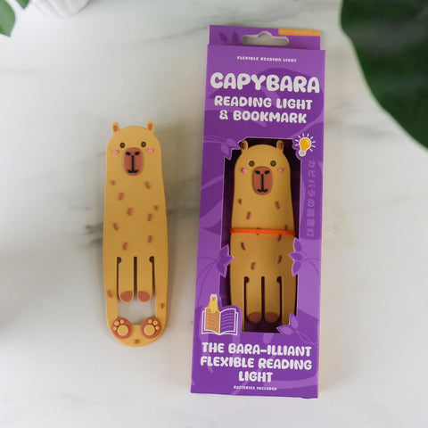Reading Light and Bookmark - Various