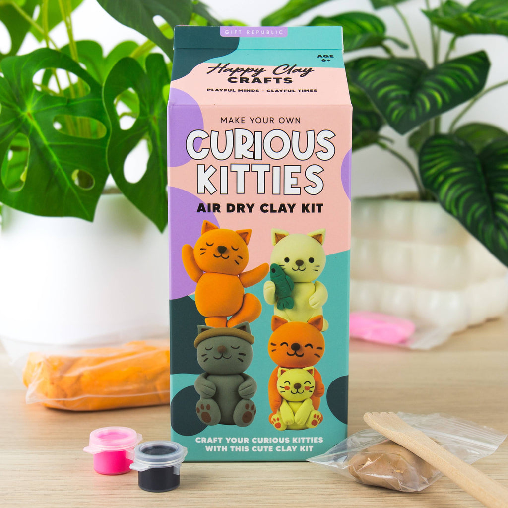 Cat Air Dry Clay Kit