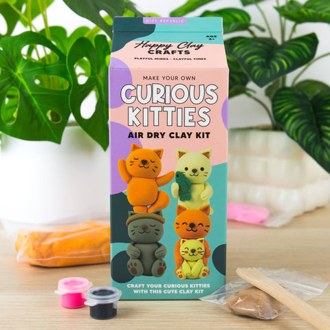 Cat Air Dry Clay Kit