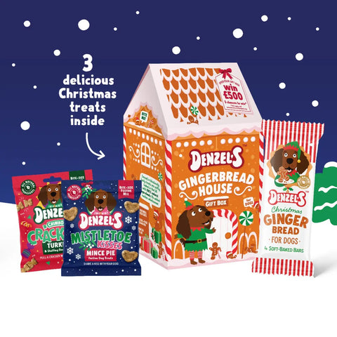 Gingerbread House Gift Box For Dogs