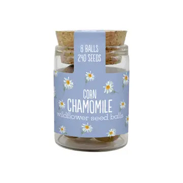 Wildflower Jars - Various Seeds