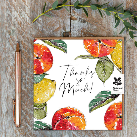 Thanks so Much (Peach & Lemon Pure) Card