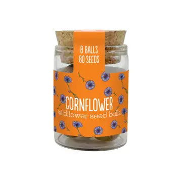 Wildflower Jars - Various Seeds
