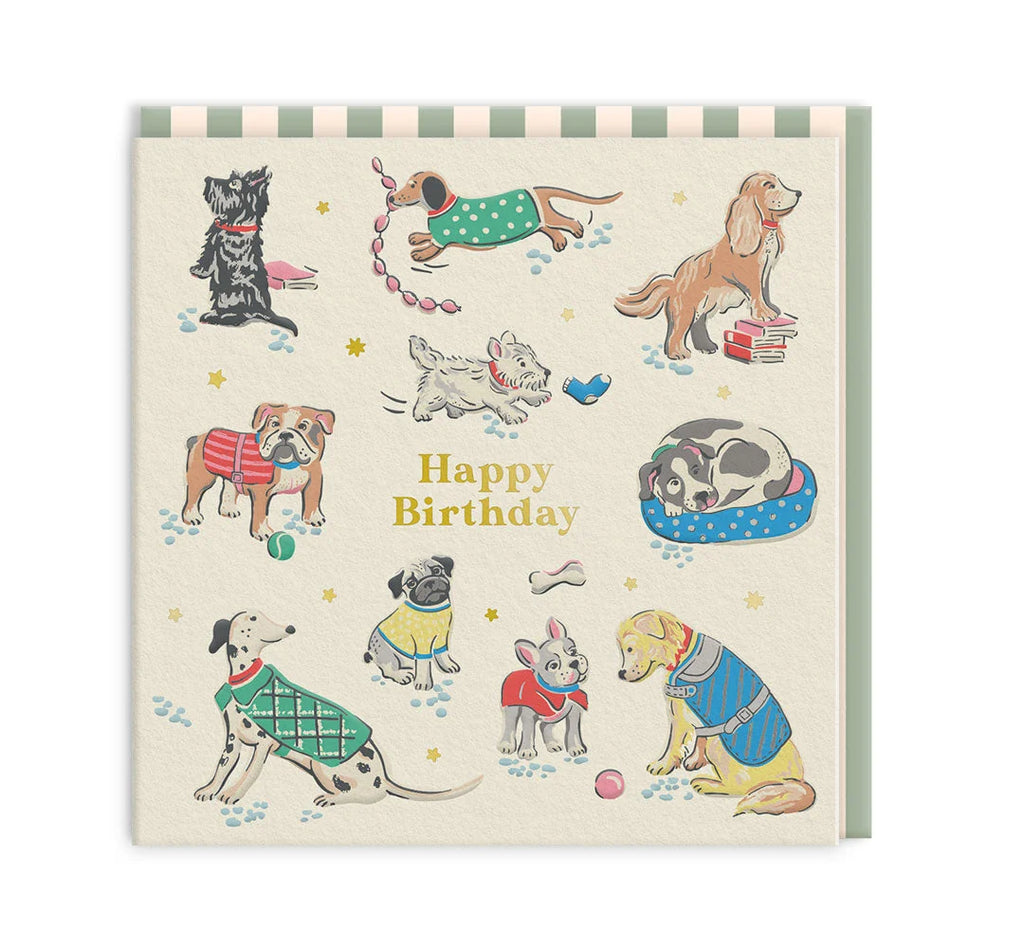 Dogs Happy Birthday