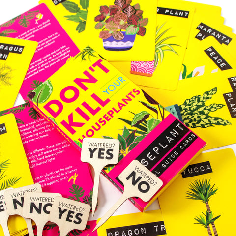 Don't Kill Your Houseplants Guide
