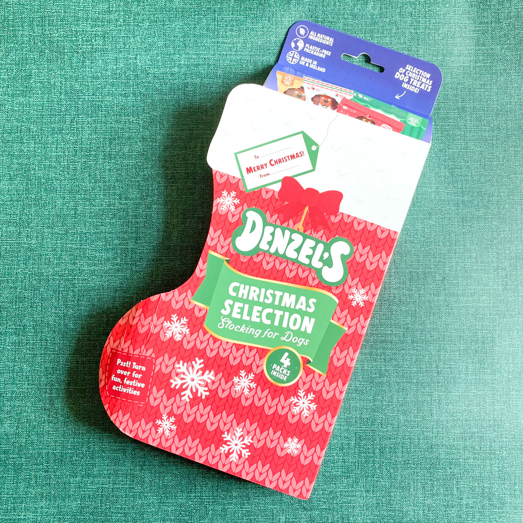 Festive Dog Treats - Christmas Stocking