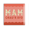 Mam Orau'r Byd Coaster