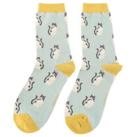 Cool Cats - Various Colours