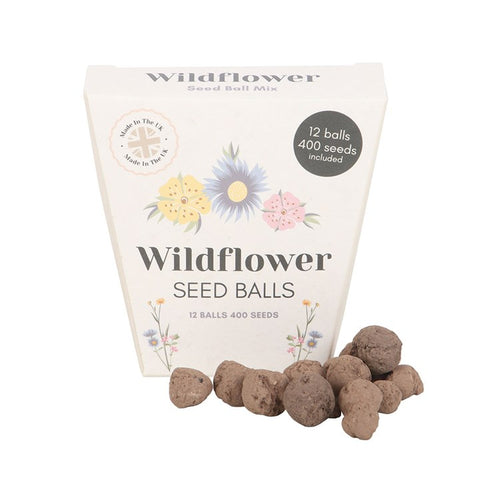 Blooming Lovely Seed Ball Pack