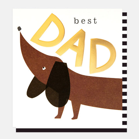 Sausage Dog
