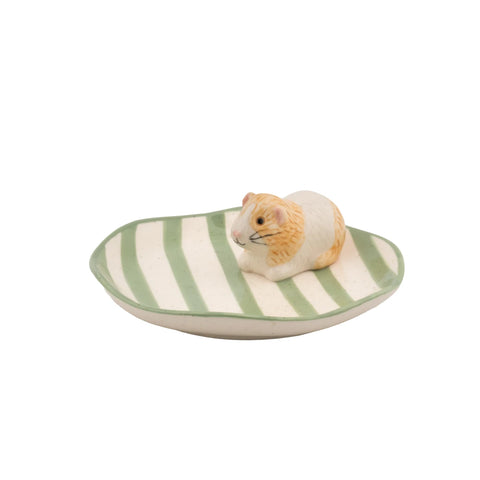 Guinea Pig Trinket Dish