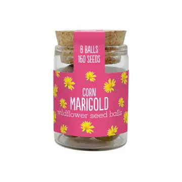 Wildflower Jars - Various Seeds