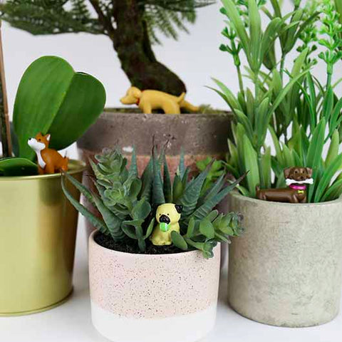 Adorable Dogs - Plant Markers