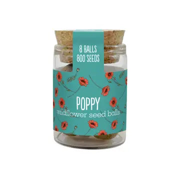 Wildflower Jars - Various Seeds