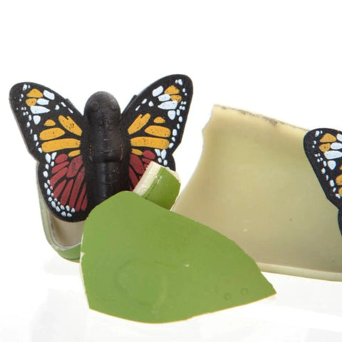 Hatch A Butterfly