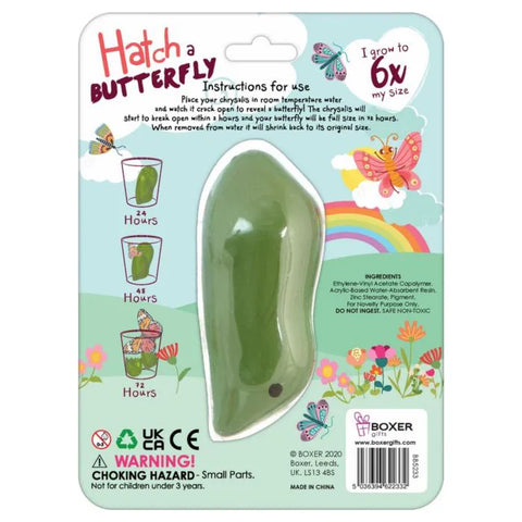 Hatch A Butterfly