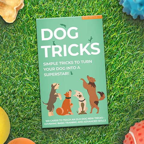 Dog Tricks