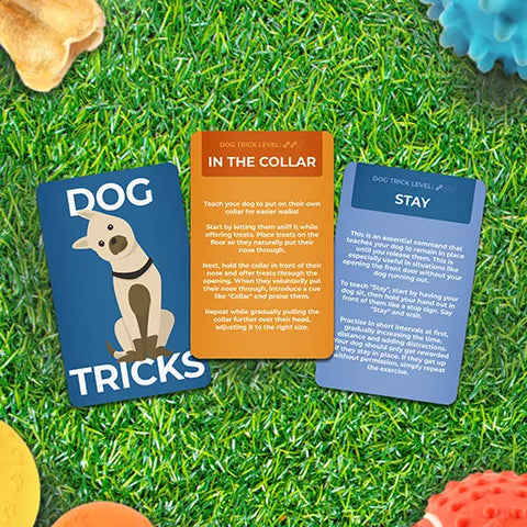 Dog Tricks