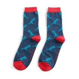 Mr Sparrow Dino Socks - Various Colours