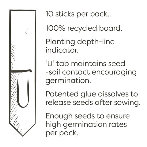 Christmas Tree Seedsticks