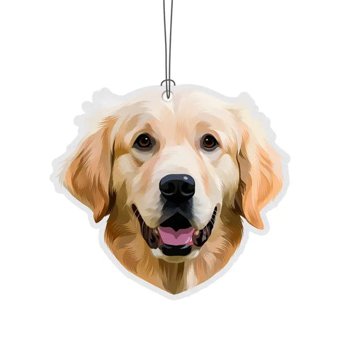 Novelty Air Freshener - Various Designs