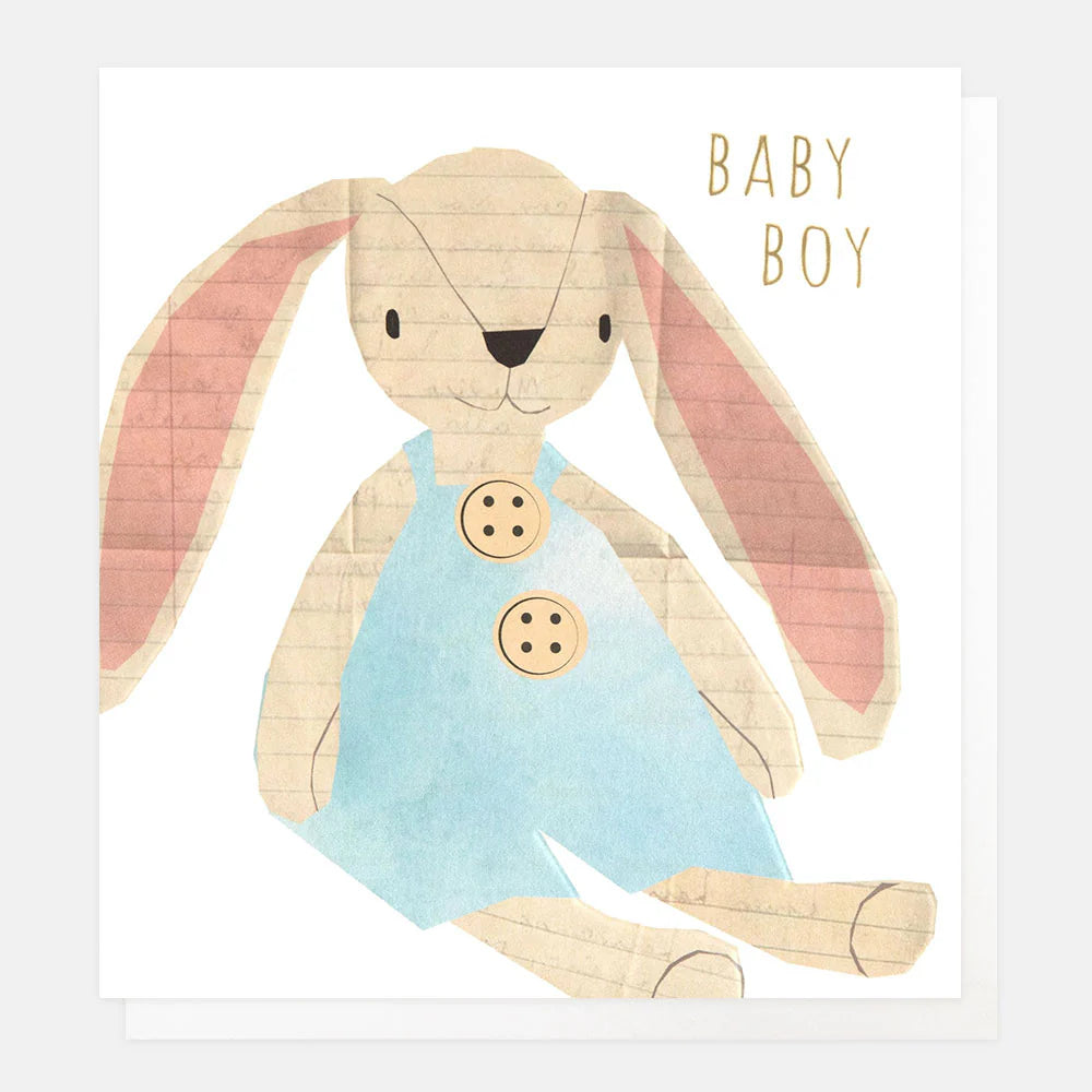 Baby Boy Rabbit