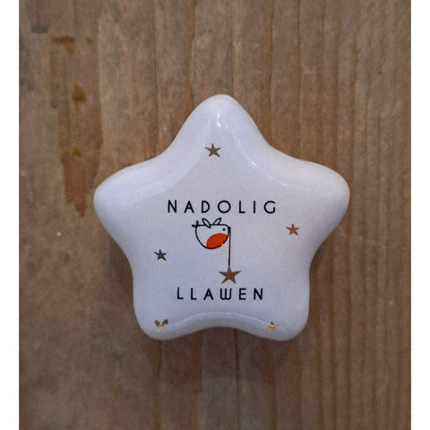 Robin Sentiment Star Shaped Token - Various Sayings