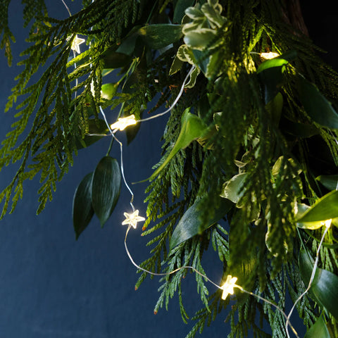 Gilded Star String Lights