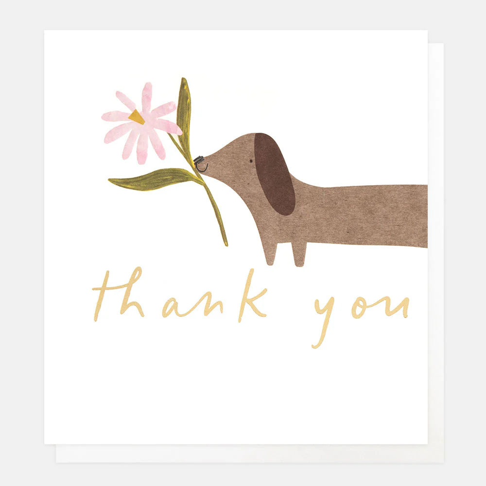 Thank You - Sausage Dog