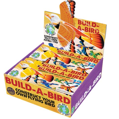 Build-a-Bird Kit