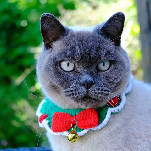 Christmas Crochet Cat Collar